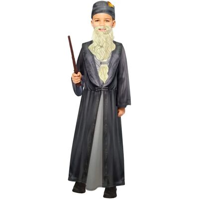 Disfraz de Dumbledore infantil de Amscan - Gris, 4-6 años Disfraz de Dumbledore infantil de Amscan - Gris, 4-6 años