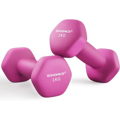 Haltères Hexagonaux Roses SONGMICS - 2 x 1 kg Équipement de Fitness - Publicité Haltères Hexagonaux Roses SONGMICS - 2 x 1 kg Équipement de Fitness - Publicité