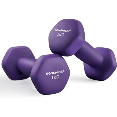 Manubri Esagonali Viola SONGMICS - 2 x 1 kg Allenamento Casa Manubri Esagonali Viola SONGMICS - 2 x 1 kg Allenamento Casa