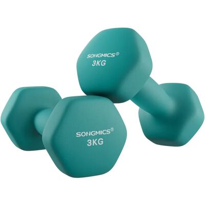 SONGMICS Hex Dumbbells - 2x3kg Green SONGMICS Hex Dumbbells - 2x3kg Green