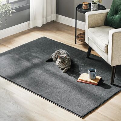 Songmics 120x170cm Dunkelgrauer Teppich - Wohnzimmerteppich Songmics 120x170cm Dunkelgrauer Teppich - Wohnzimmerteppich