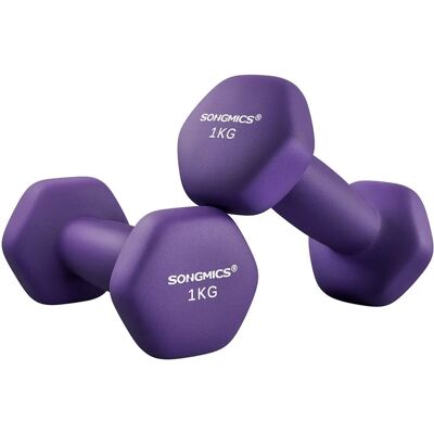 SONGMICS Paar Lila Vinyl Zeskantige Dumbbells - Fitnessapparatuur SONGMICS Paar Lila Vinyl Zeskantige Dumbbells - Fitnessapparatuur