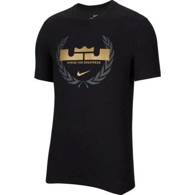 Nike Drifit Lebron Logo CV2047010 Basket - Hela året Män Nike Drifit Lebron Logo CV2047010 Basket - Hela året Män