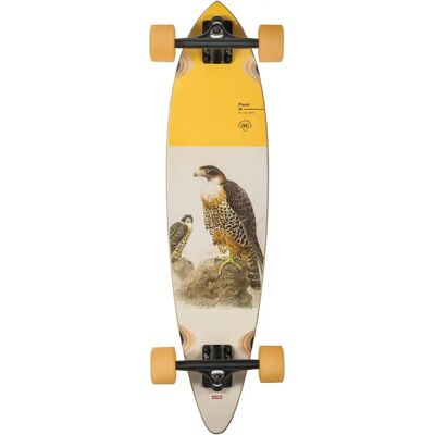 Globe Falcon 34 Mittel-Langboard - Longboard Globe Falcon 34 Mittel-Langboard - Longboard