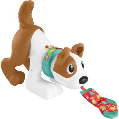 Fisher-Price Cucciolo Gattona e Gioca con Me - Giocattolo Bebè 6+ Mesi Fisher-Price Cucciolo Gattona e Gioca con Me - Giocattolo Bebè 6+ Mesi