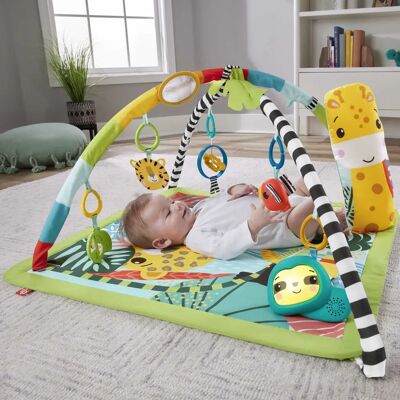 Fisher-Price HJW08 Ginnastica per bambini - Tappeto da gioco multicolore Fisher-Price HJW08 Ginnastica per bambini - Tappeto da gioco multicolore