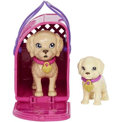 Doll Barbie HKD86/HKD87 - Animali che cambiano colore, accessori, 3+ - Bambola Doll Barbie HKD86/HKD87 - Animali che cambiano colore, accessori, 3+ - Bambola