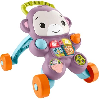 Fisher-Price JGW91 Baby Walker - Passeggino per bambini Fisher-Price JGW91 Baby Walker - Passeggino per bambini