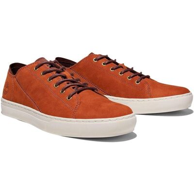 Timberland Adv 2.0 Cupsole Modern Oxford - Sneaker Timberland Adv 2.0 Cupsole Modern Oxford - Sneaker
