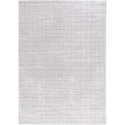 Tapis en Polyester Safavieh Gris Clair/Gris 90 X 150 - Tapis Tapis en Polyester Safavieh Gris Clair/Gris 90 X 150 - Tapis