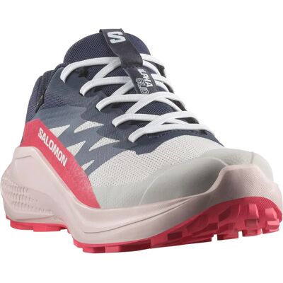 Salomon Alphaglide GORE-TEX Scarpe da trail - Trail Shoes Salomon Alphaglide GORE-TEX Scarpe da trail - Trail Shoes