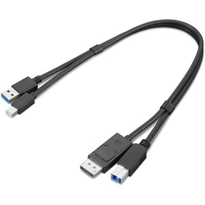 Câble double tête Lenovo ThinkStation mDP + USB-A 3.0 à DP + USB-B 3.0 - Publicité Câble double tête Lenovo ThinkStation mDP + USB-A 3.0 à DP + USB-B 3.0 - Publicité
