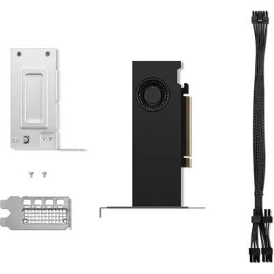 Lenovo RTX 2000 Ada - 16 GB GDDR6 - PCIe 4.0 x8 Low Profile - 4 DisplayPort - Graphics Card Lenovo RTX 2000 Ada - 16 GB GDDR6 - PCIe 4.0 x8 Low Profile - 4 DisplayPort - Graphics Card