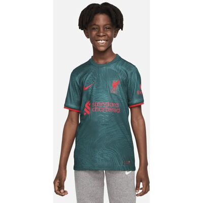 Nike FC Liverpool Tröja Ungdom 2023 - 3:e Tröja Nike FC Liverpool Tröja Ungdom 2023 - 3:e Tröja