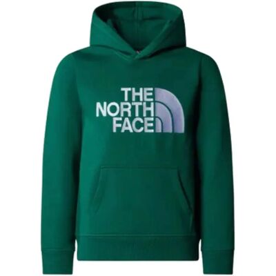 The North Face Drew Peak Hoodie - Grün - Kapuzenpullover The North Face Drew Peak Hoodie - Grün - Kapuzenpullover