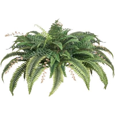 Succebuy Artificial Ferns - Green - 37-41 Inch Spread - Wall Decor Succebuy Artificial Ferns - Green - 37-41 Inch Spread - Wall Decor