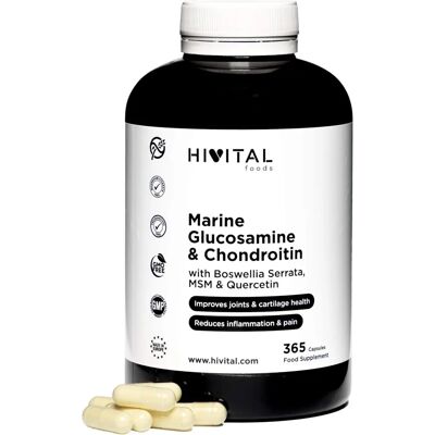 Hivital Glucosamina con Condroitina - 365 cápsulas para 4 meses Hivital Glucosamina con Condroitina - 365 cápsulas para 4 meses