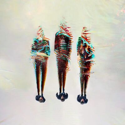 Take That III - Álbum - 2014 Take That III - Álbum - 2014