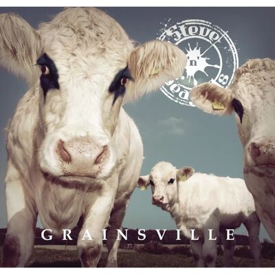 Steve N Seagulls - Grainsville - Bluegrass Vinyl LP - Produkttyp Steve N Seagulls - Grainsville - Bluegrass Vinyl LP - Produkttyp
