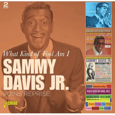 C&D Sammy Davis Jr. Vad För En Tåpelig - Musik CD Album C&D Sammy Davis Jr. Vad För En Tåpelig - Musik CD Album