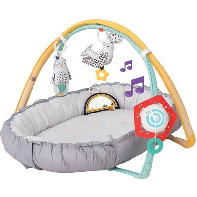 Taf Toys Gym pour Bébés - Arches Ajustables, Jouets Colorés, Musical et Lumière - Publicité Taf Toys Gym pour Bébés - Arches Ajustables, Jouets Colorés, Musical et Lumière - Publicité