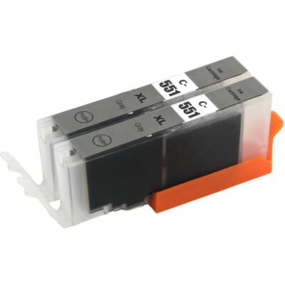 Cartouche d'encre Grise Canon Pixma - Pack de 2 de Go Inks - Publicité Cartouche d'encre Grise Canon Pixma - Pack de 2 de Go Inks - Publicité