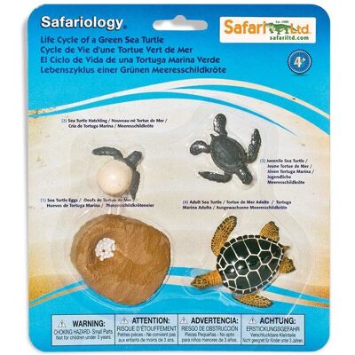 Safari Ltd Ciclo di Vita di una Tartaruga Verde - Figura Educativa Safari Ltd Ciclo di Vita di una Tartaruga Verde - Figura Educativa