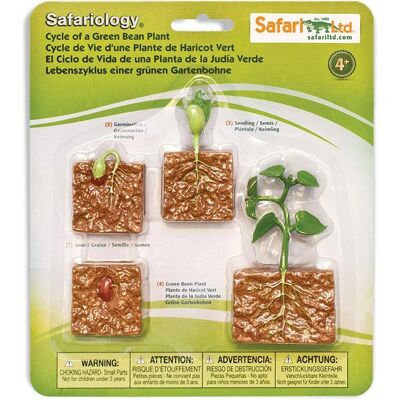 Safari Ltd Grüner Bohnenpflanzenzyklus Figuren - Lehrspielzeug ab 3+ Safari Ltd Grüner Bohnenpflanzenzyklus Figuren - Lehrspielzeug ab 3+