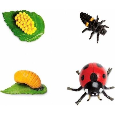 Cykl życia biedronki od Safari Ltd - Figura edukacyjna Cykl życia biedronki od Safari Ltd - Figura edukacyjna