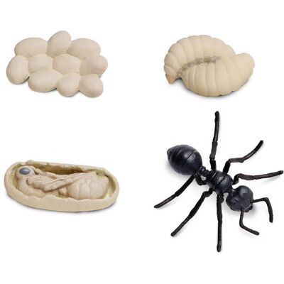 Safari Ltd Cykl życia mrówki - Figurka edukacyjna Safari Ltd Cykl życia mrówki - Figurka edukacyjna