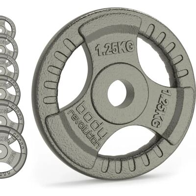 Body Revolution 30096 Langlebige Gusseisen-Gewichte - Ergonomische Griffe - 1,25-25kg Body Revolution 30096 Langlebige Gusseisen-Gewichte - Ergonomische Griffe - 1,25-25kg