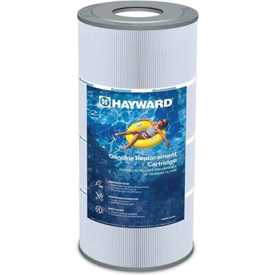 Cartucho de filtro Hayward CX100XRE - C100SE Cartucho de filtro Hayward CX100XRE - C100SE