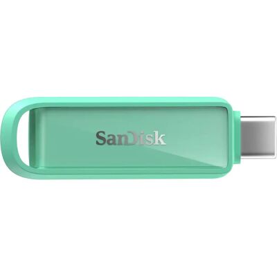 SanDisk 256 GB USB Type-C 3.2 Gen 1 - USB Flash Drive SanDisk 256 GB USB Type-C 3.2 Gen 1 - USB Flash Drive