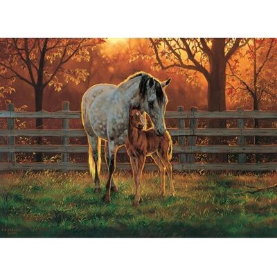 Puzzle Cobble Hill 500 pièces XXL - Temps Calme - Puzzle Puzzle Cobble Hill 500 pièces XXL - Temps Calme - Puzzle