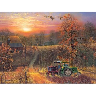 Cobble Hill Puzzle 275 Teile XXL - Prendre une Pause - Puzzle Cobble Hill Puzzle 275 Teile XXL - Prendre une Pause - Puzzle
