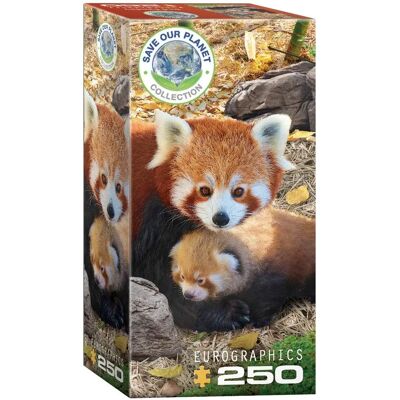 Eurographics Save Our Planet Puzzle Rote Pandas XL 250 Teile - Puzzle Eurographics Save Our Planet Puzzle Rote Pandas XL 250 Teile - Puzzle