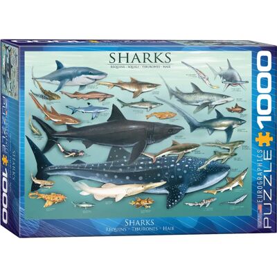 Puzzle Eurographics Rekiny 1000 Elementów - Zwierzęta Morskie Puzzle Eurographics Rekiny 1000 Elementów - Zwierzęta Morskie