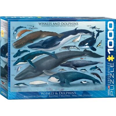 Eurographics Whales & Dolphins 1000-piece Puzzle - Fauna Eurographics Whales & Dolphins 1000-piece Puzzle - Fauna