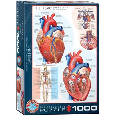 Eurographics Herz Puzzle - 1000 Teile, Anatomisch, Lehrreich Eurographics Herz Puzzle - 1000 Teile, Anatomisch, Lehrreich