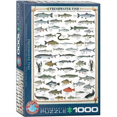 Puzzle Eurographics Ryb słodkowodnych - 1000 sztuk Puzzle Eurographics Ryb słodkowodnych - 1000 sztuk