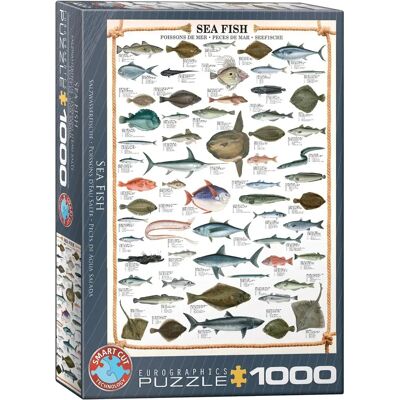Eurographics Morskie Ryby Puzzle 1000 Elementów - Życie Morskie Eurographics Morskie Ryby Puzzle 1000 Elementów - Życie Morskie