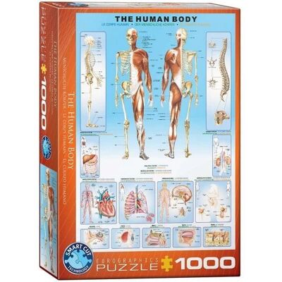 Eurographics Puzzle Lidské Tělo - 1000 Dílků - Vzdělávací Eurographics Puzzle Lidské Tělo - 1000 Dílků - Vzdělávací