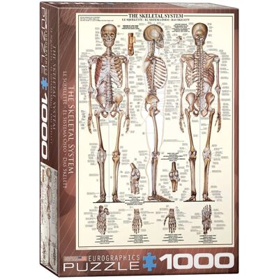Eurographics Das Skelett 1000 Teile Puzzle - Puzzle Eurographics Das Skelett 1000 Teile Puzzle - Puzzle