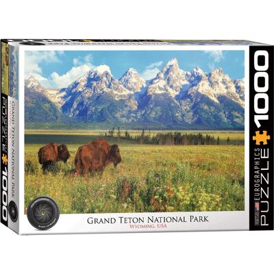 Eurographics Grand Teton National Park - 1000 Teile Puzzle Eurographics Grand Teton National Park - 1000 Teile Puzzle