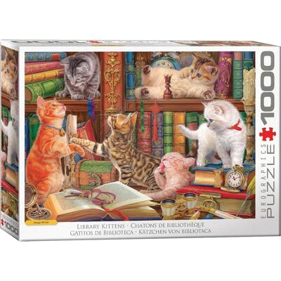 Eurographics Kätzchen in Bibliothek - 1000 Teile - Puzzle Eurographics Kätzchen in Bibliothek - 1000 Teile - Puzzle
