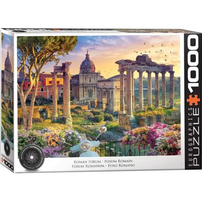 Eurographics Forum Romain - Puzzle Eurographics Forum Romain - Puzzle