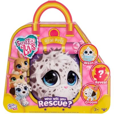 Moose Little Live Pets Plüsch - Scruff-a-luvs: Verschiedene echte Haustiere 1 Stück Moose Little Live Pets Plüsch - Scruff-a-luvs: Verschiedene echte Haustiere 1 Stück