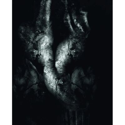 C&D Treha Sektori Sorieh - Musik-CD 2019 - Album C&D Treha Sektori Sorieh - Musik-CD 2019 - Album