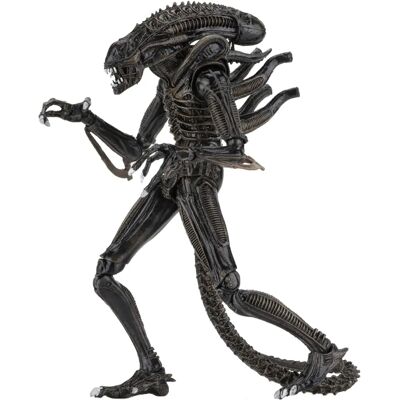 NECA Alien Warrior Ultimate Brown Edition Poseable Action Figure - Action Figure NECA Alien Warrior Ultimate Brown Edition Poseable Action Figure - Action Figure