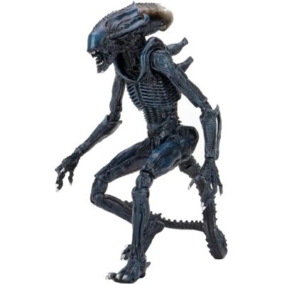 NECA Alien 7 Figura de ação - Alien vs Predator, Azul NECA Alien 7 Figura de ação - Alien vs Predator, Azul